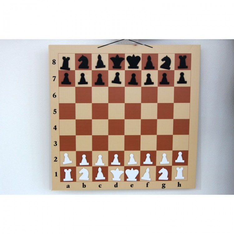 Доска демонстрационная шахматная ламинированная малая (63x63)