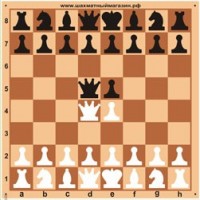 Доска шахматная демонстрационная цельная 100 см