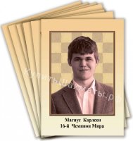 Портреты чемпионов мира по шахматам (комплект 17 штук, включая Дин Лижэня) 