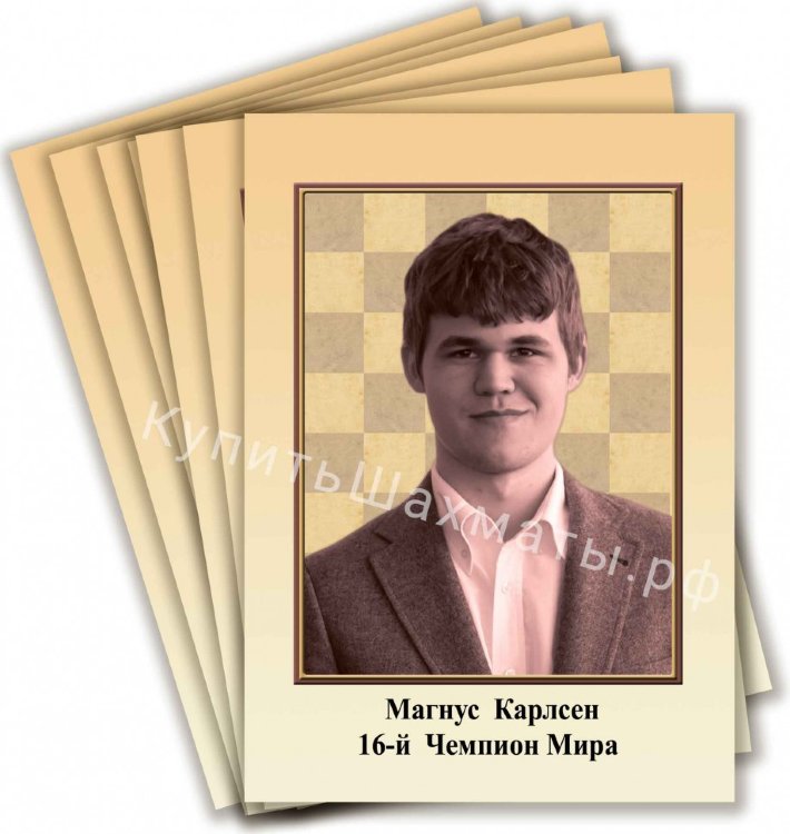 Портреты чемпионов мира по шахматам (комплект 17 штук, включая Дин Лижэня) 