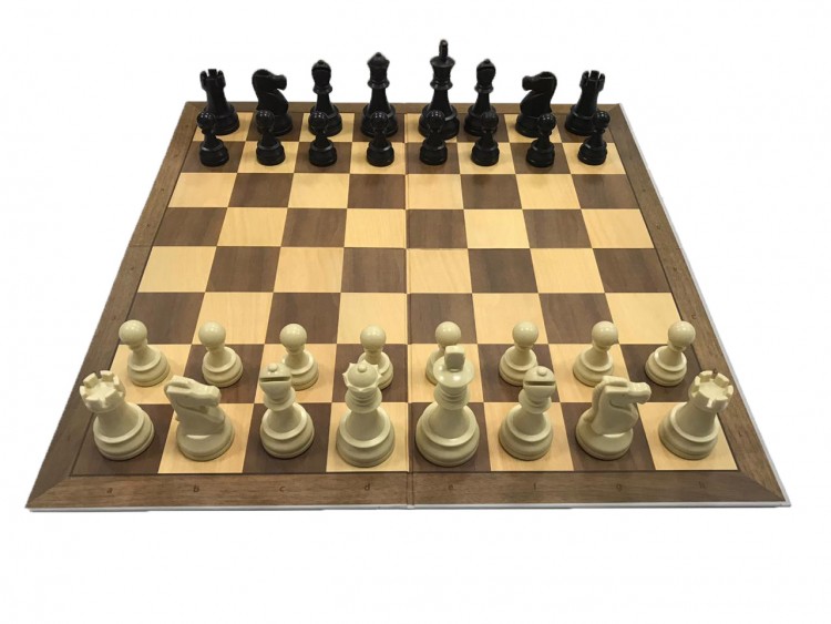 DGT Начальный Комплект шахматиста