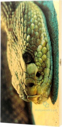 Деревянные нарды "Змея" (48x48см) (304-18)