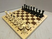 Шахматы Айвенго обиходные пластиковые с деревянной шахматной доской 29 см